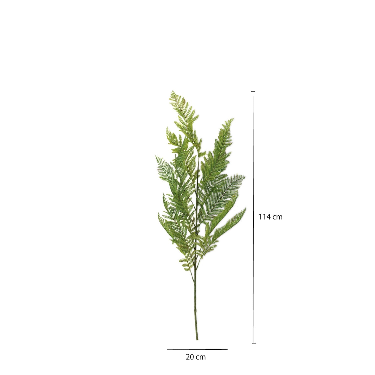 Hoja Helecho 114 cm - Ambiente Gourmet México