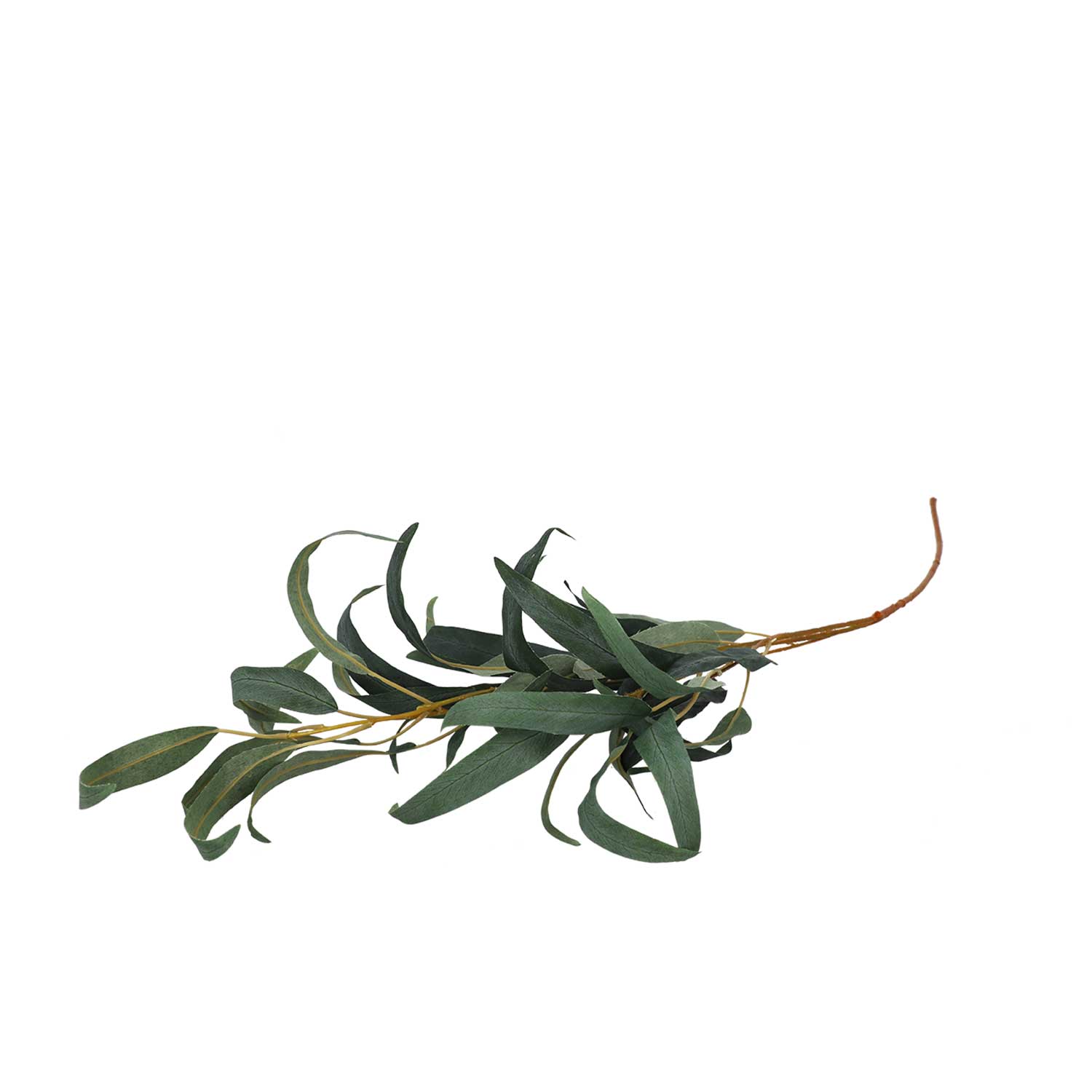 Hojas Spray - Ambiente Gourmet México