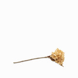 Hortensia amarilla 43cm