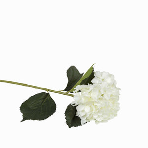 Hortensia blanca - Ambiente Gourmet México