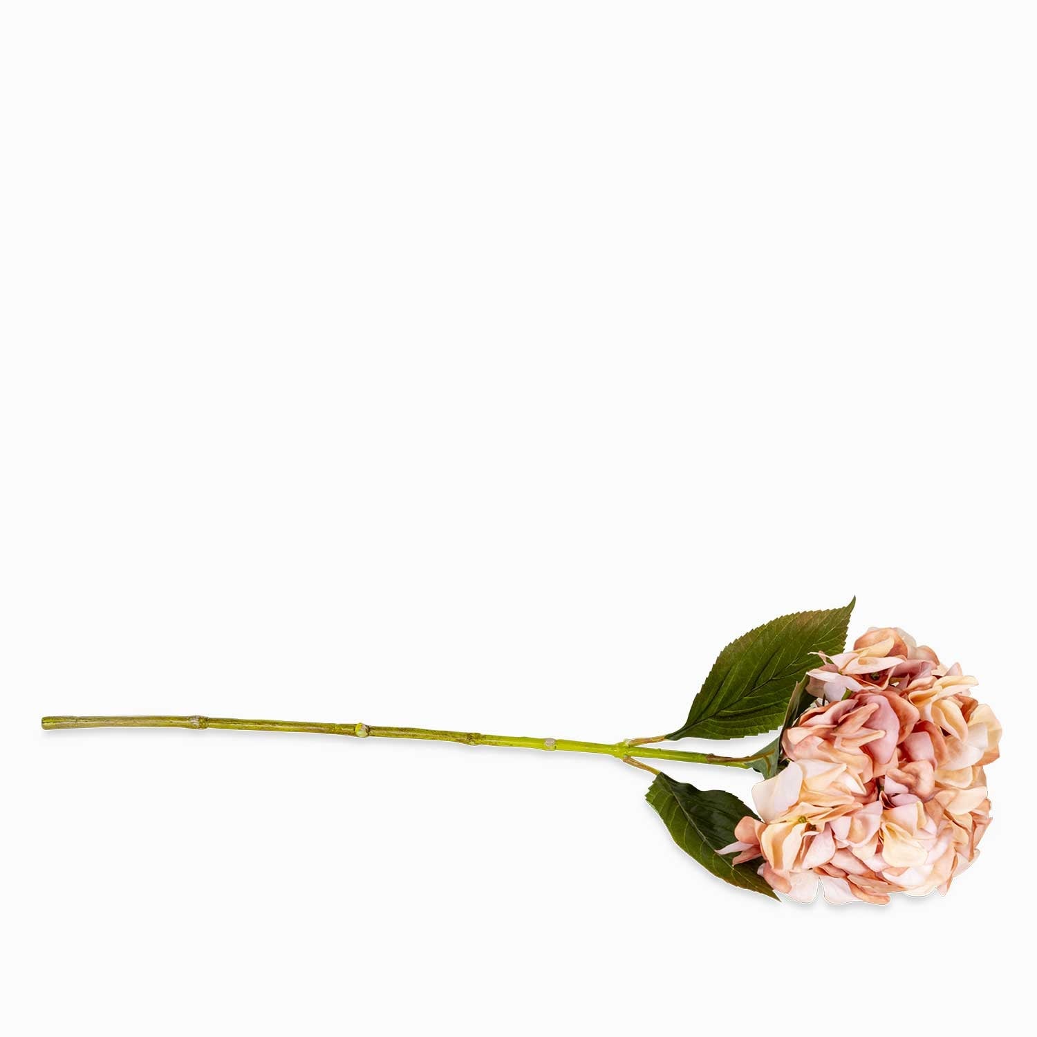 Hortensia durazno 67cm - Ambiente Gourmet México