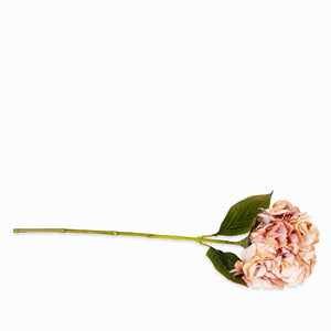 Hortensia durazno 67cm - Ambiente Gourmet México
