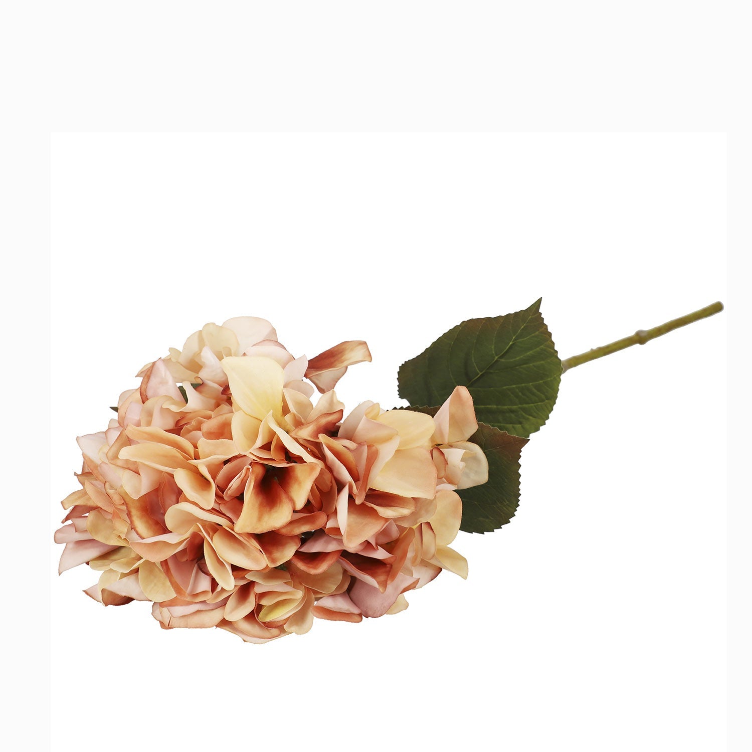 Hortensia durazno 67cm - Ambiente Gourmet México