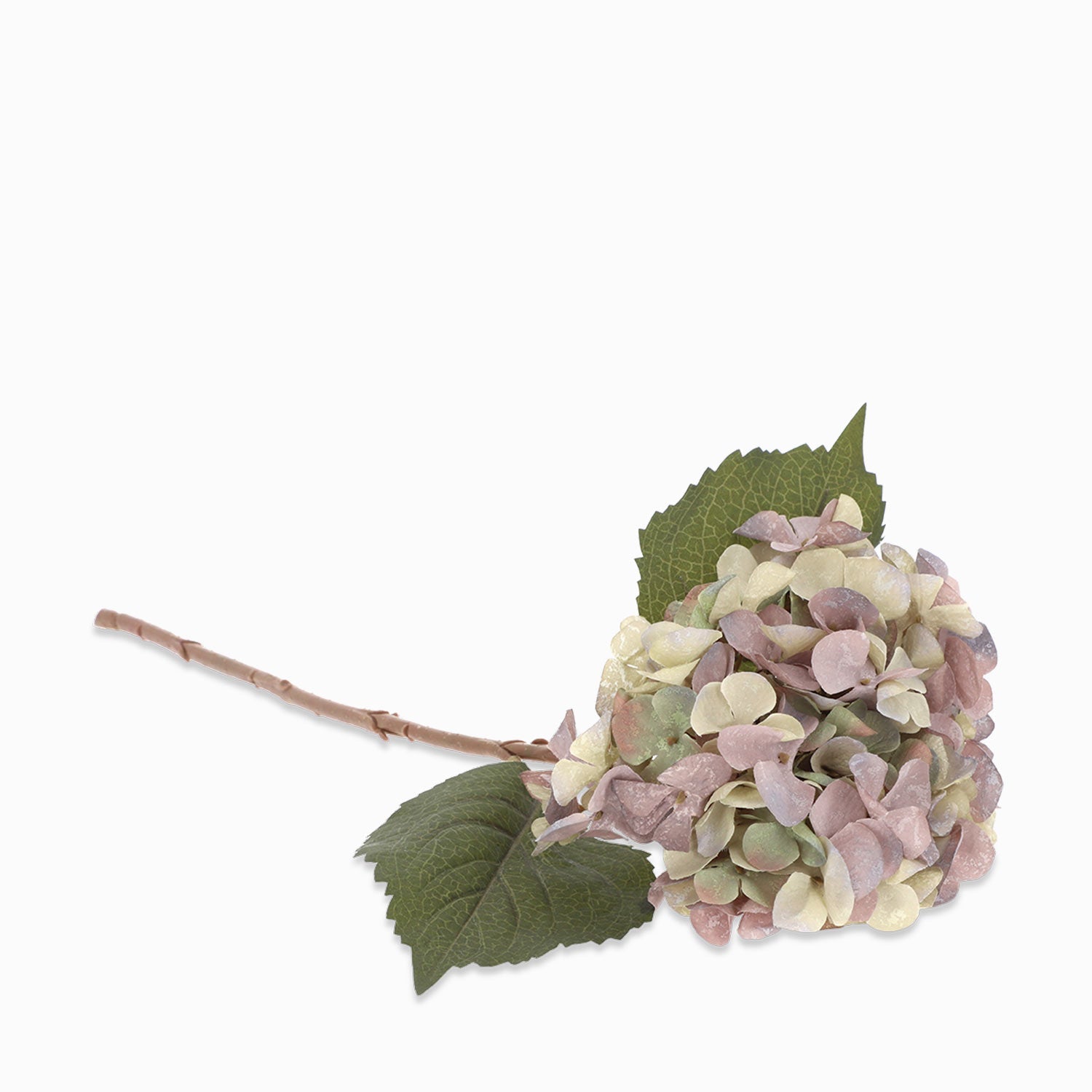 Hortensia Purpura - Ambiente Gourmet México