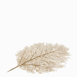 Individual hoja dorada - Ambiente Gourmet México