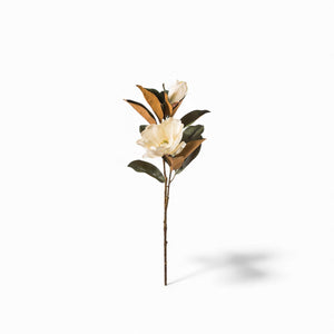Magnolia 86cm