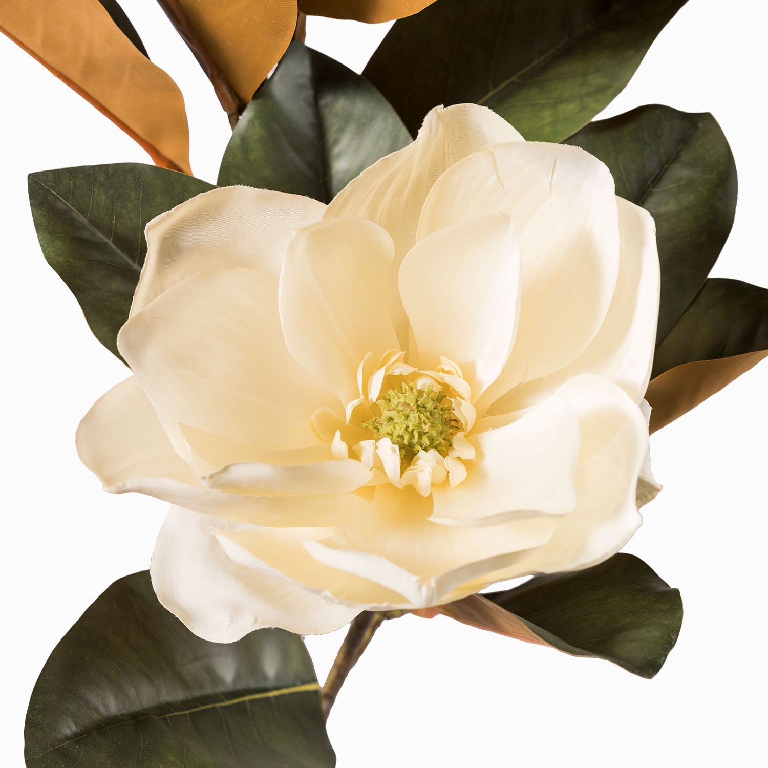 Magnolia 86cm - Ambiente Gourmet México