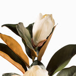 Magnolia 86cm - Ambiente Gourmet México