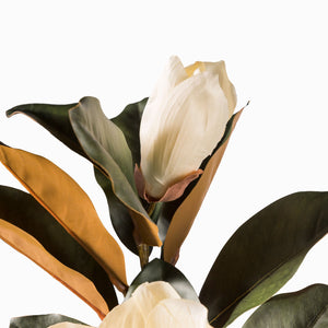 Magnolia 86cm - Ambiente Gourmet México