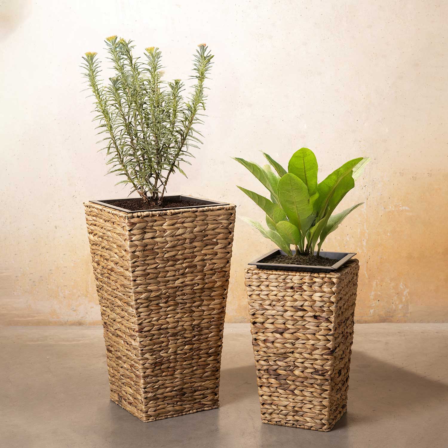 Matera Azura 46x28cm - Ambiente Gourmet México