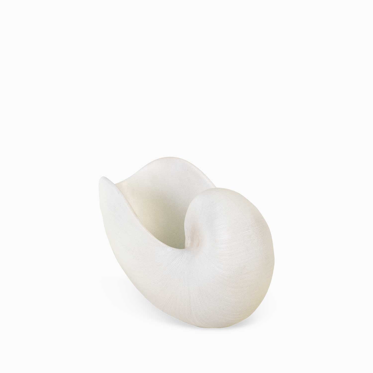 Nautilus