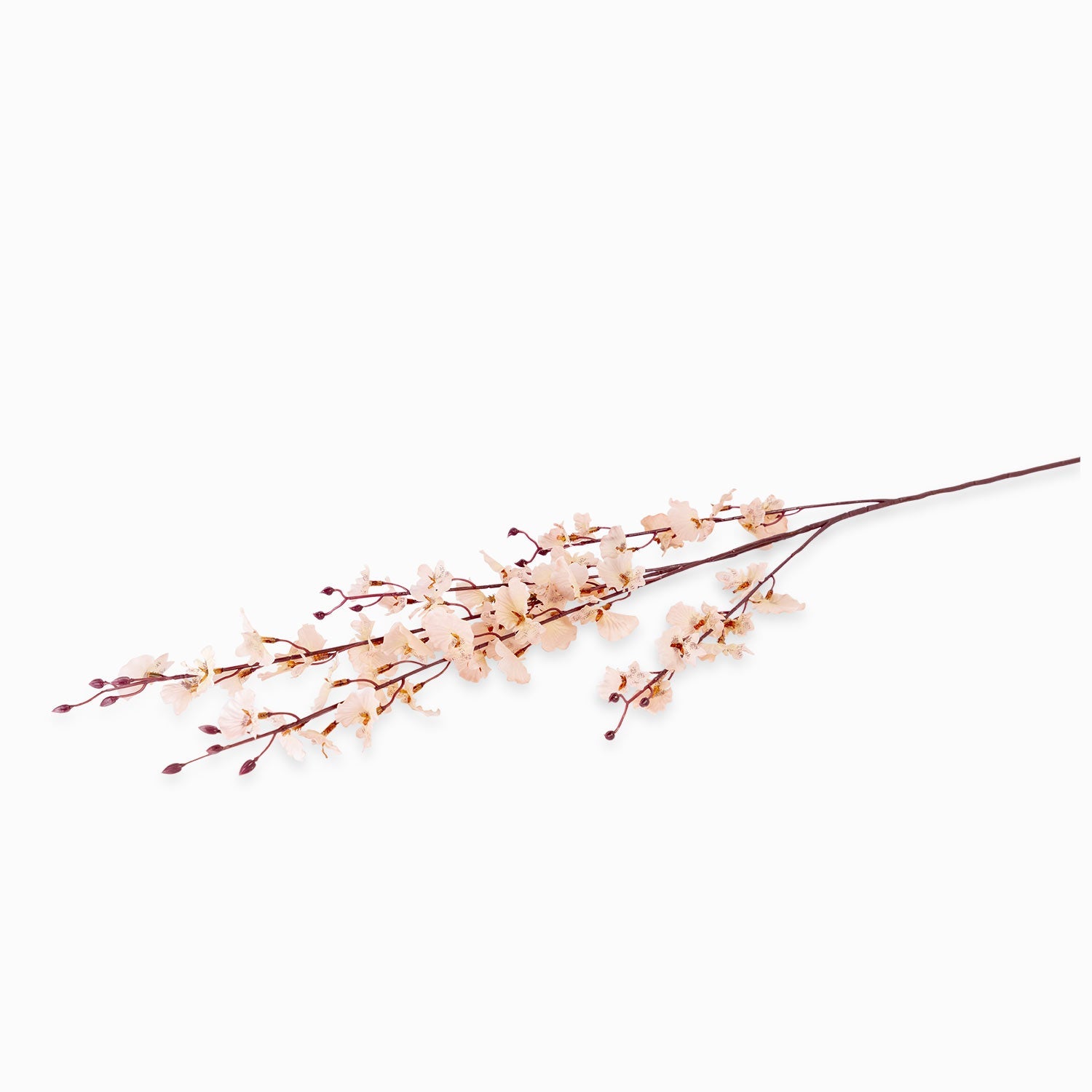 Orquídea Danzante Rosada - Ambiente Gourmet México