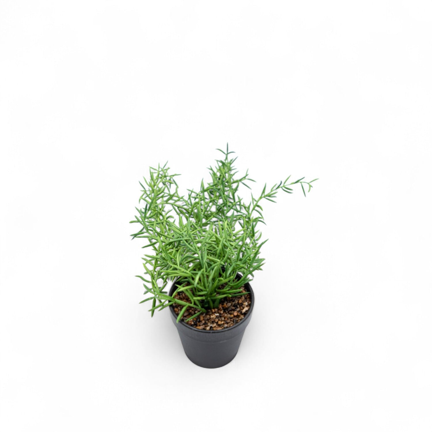 Othona 40cm - Ambiente Gourmet México