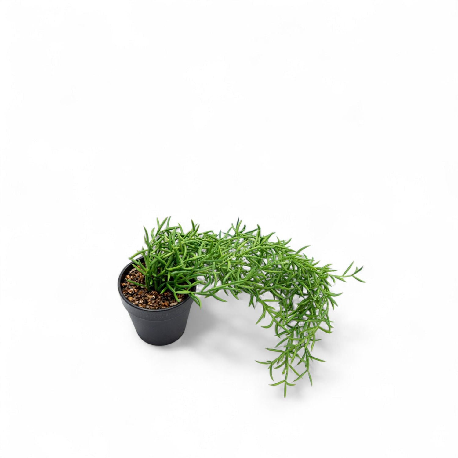 Othona 40cm - Ambiente Gourmet México