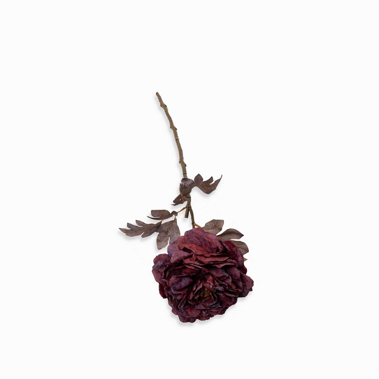 Peonia borgoña 62cm - Ambiente Gourmet México