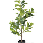 Peperomia Artificial 80cm