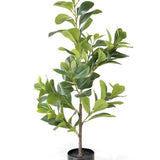 Peperomia Artificial 80cm