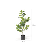 Peperomia Artificial 80cm