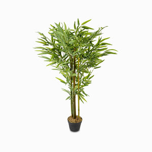 Planta bambú 130cm - Ambiente Gourmet México