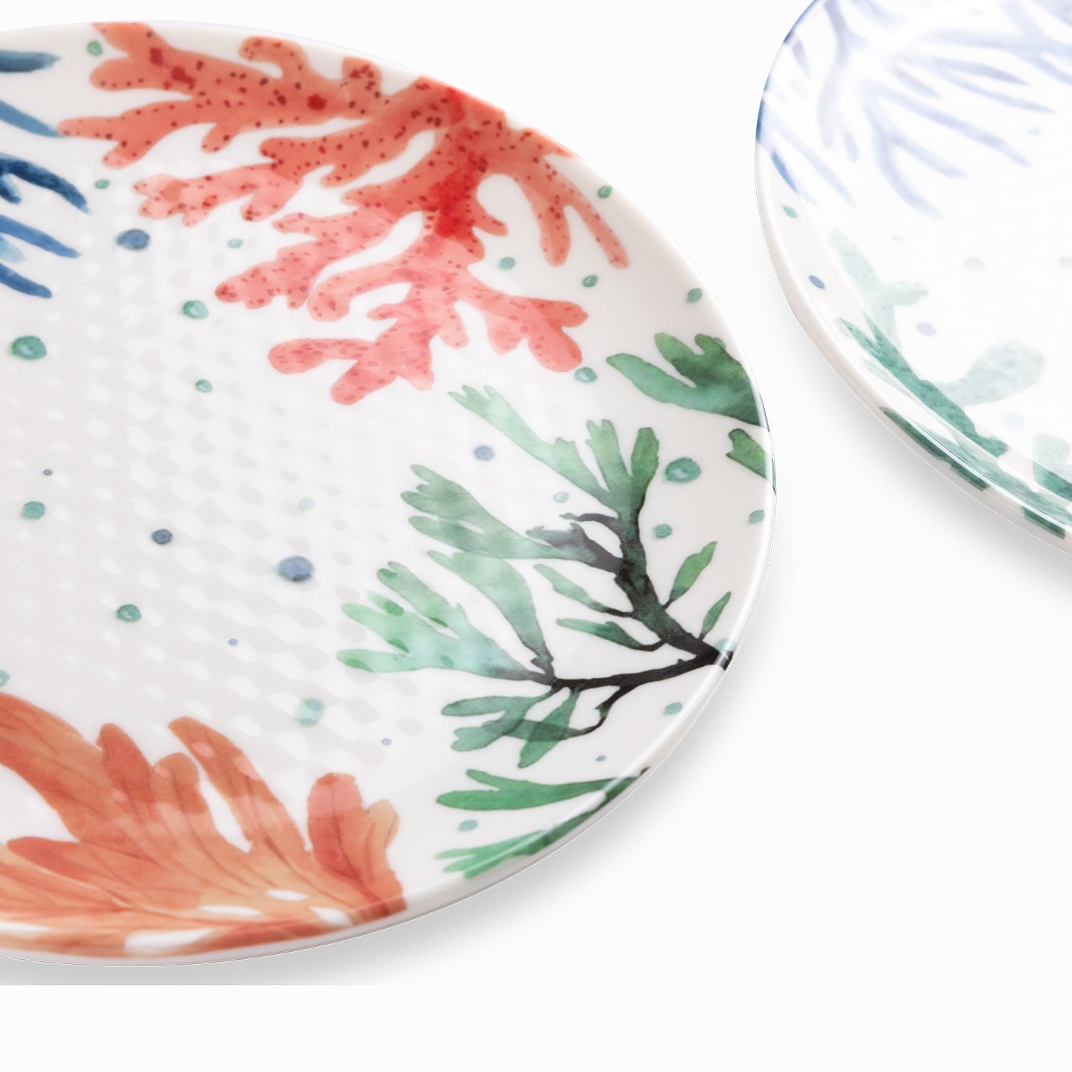 Plato Corales 26Cm Set X2 - Ambiente Gourmet México
