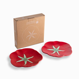 Plato Mediano Huerto Mestizo 21Cm Setx2 - Ambiente Gourmet México