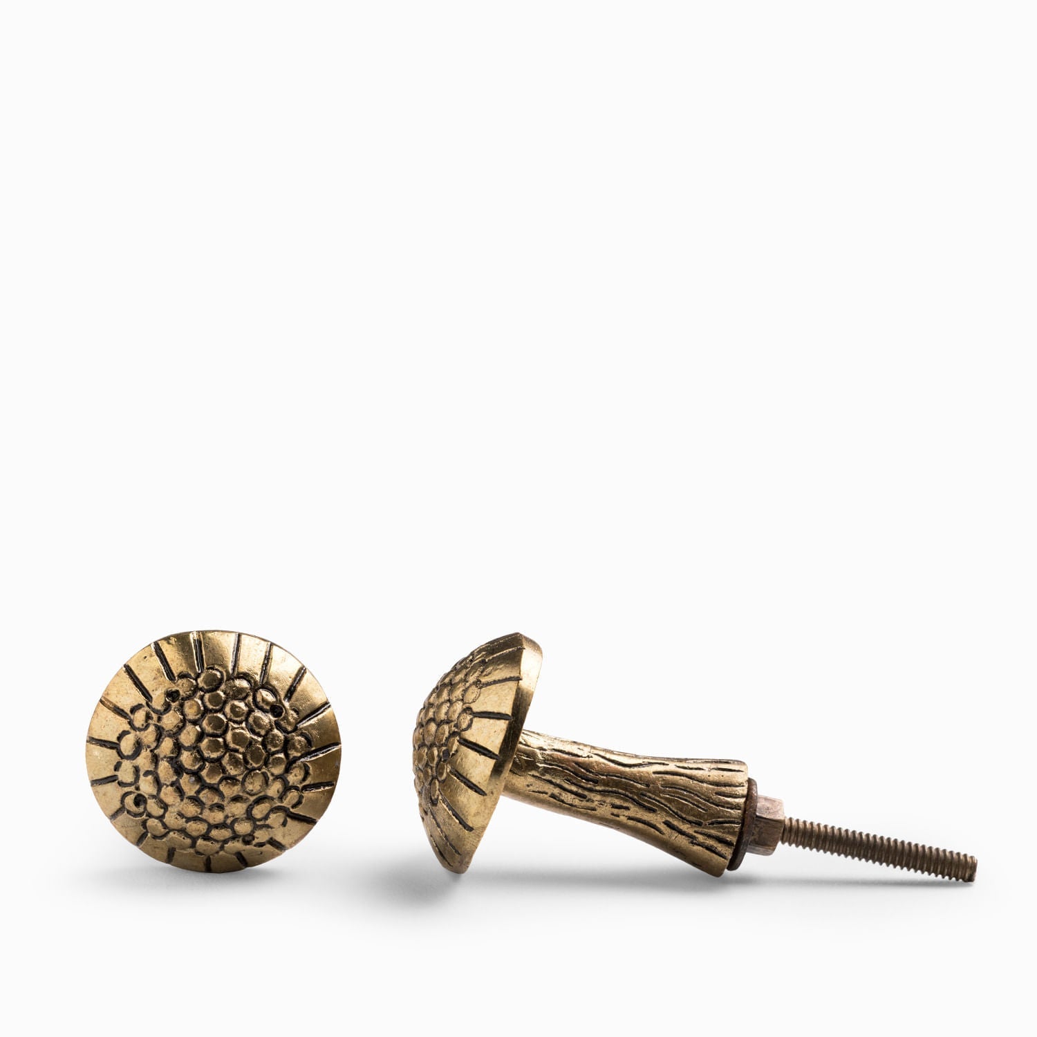 Pomo hongo brass set x2 - Ambiente Gourmet México