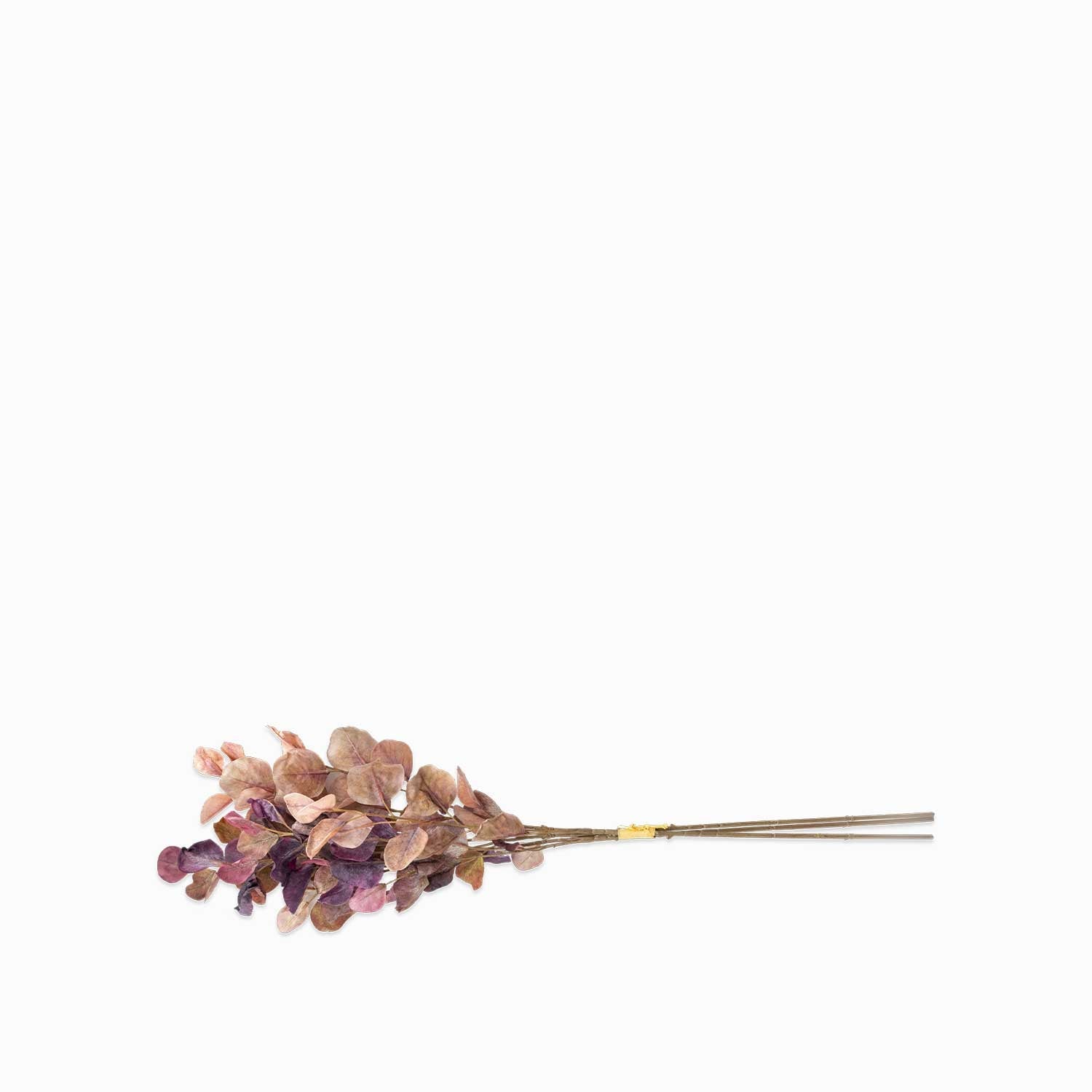 Racimo eucalipto borgoña 74cm