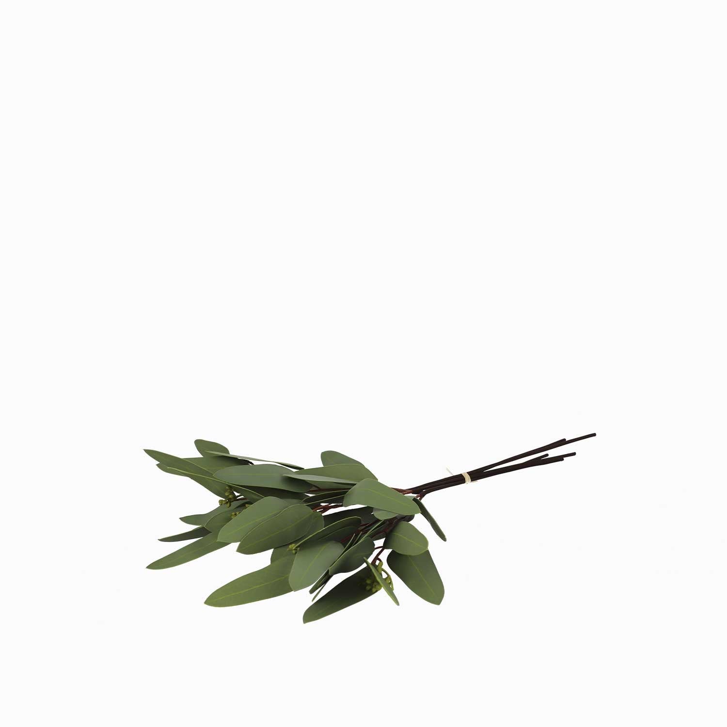 Racimo eucalipto largo 40cm - Ambiente Gourmet México