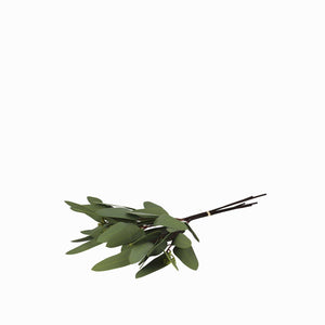 Racimo eucalipto largo 40cm