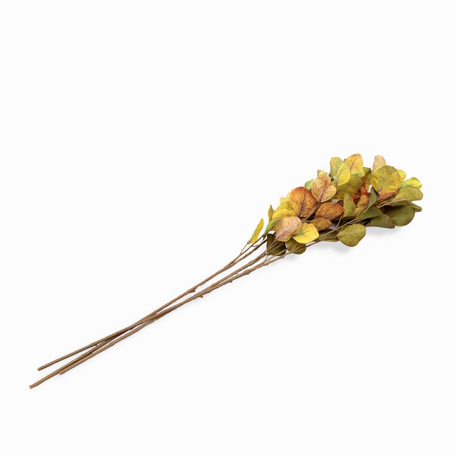 Racimo eucalipto verde 74cm
