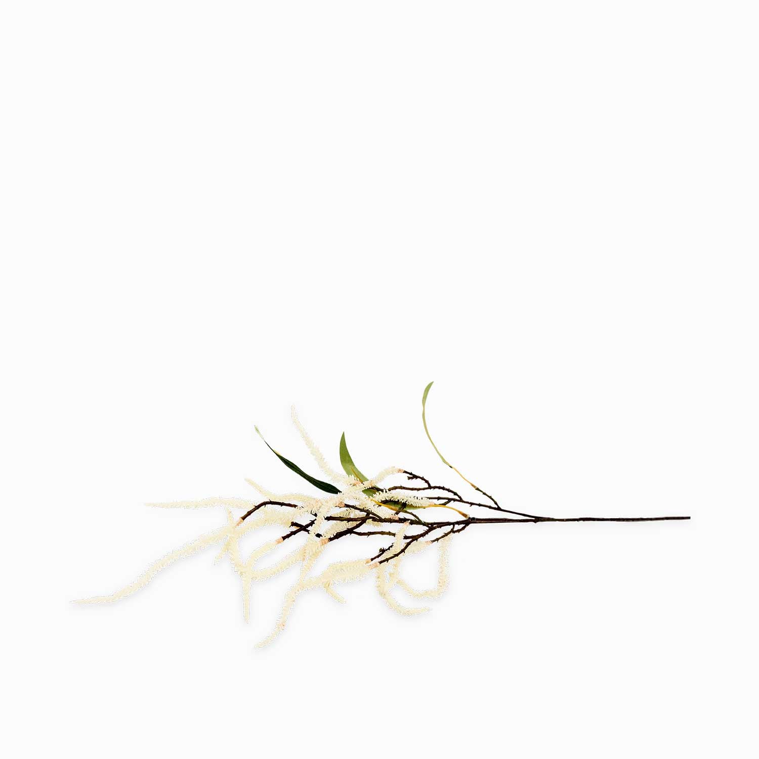 Rama acacia blanca 85 cm - Ambiente Gourmet México