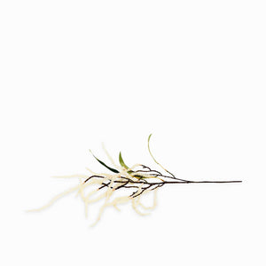 Rama acacia blanca 85 cm - Ambiente Gourmet México