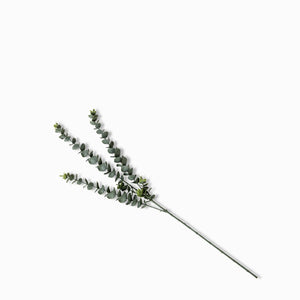Rama Eucalipto 76 cm - Ambiente Gourmet México
