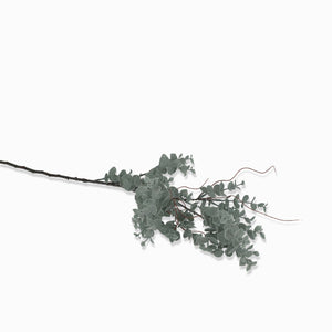 Rama Eucalipto Redondo 86 cm - Ambiente Gourmet México
