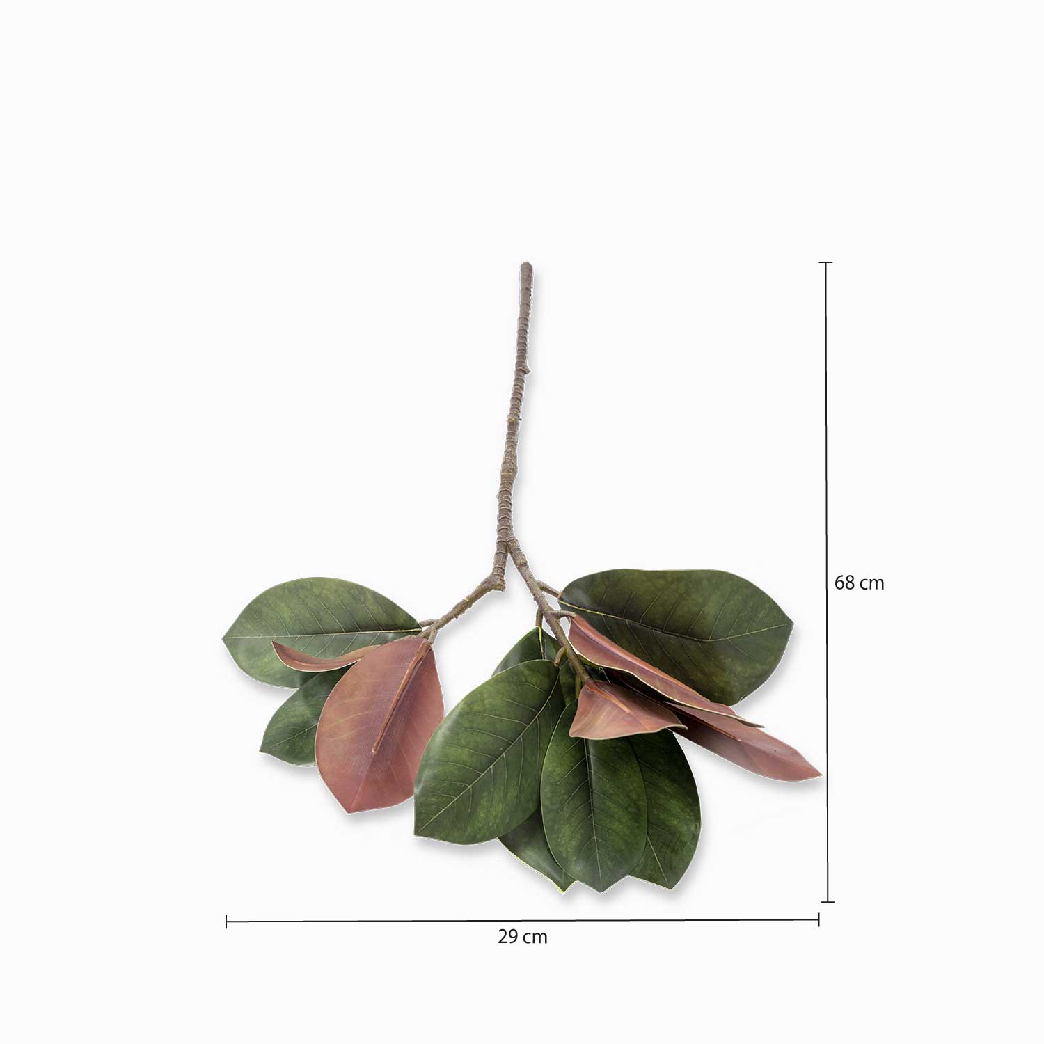 Rama Magnolia 68 cm