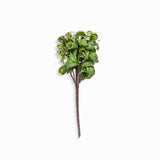 Rama peperomia 37cm