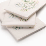 Servilletas botánica set x6 - Ambiente Gourmet México