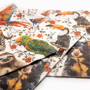 Servilletas tesoro jungla set x20 - Ambiente Gourmet México
