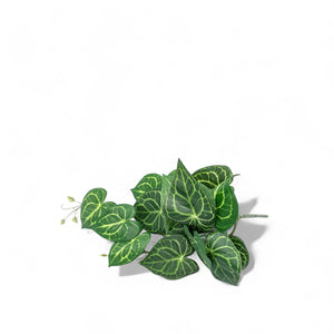 Singonio colgante 54cm - Ambiente Gourmet México