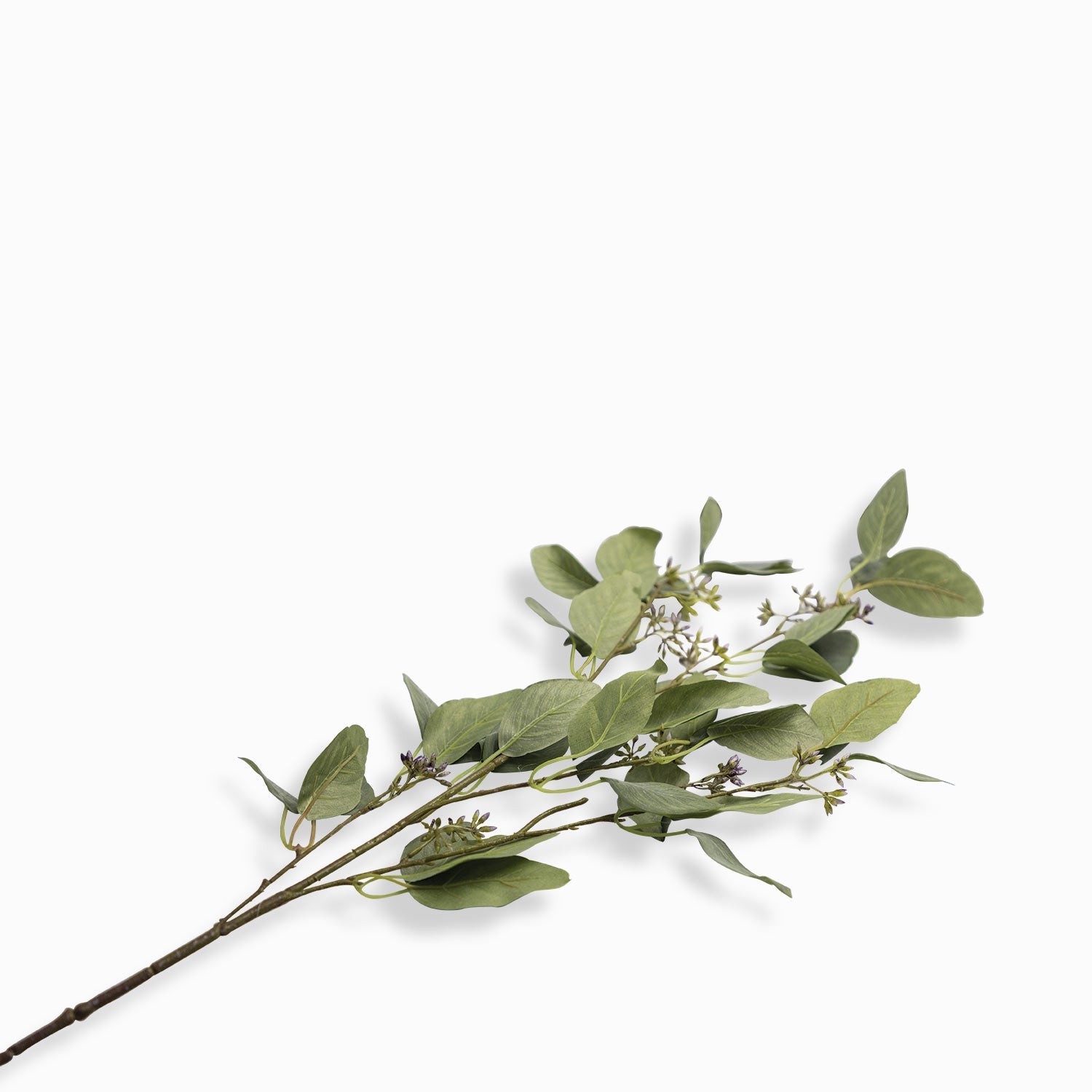 Spray de Eucalipto - Ambiente Gourmet México