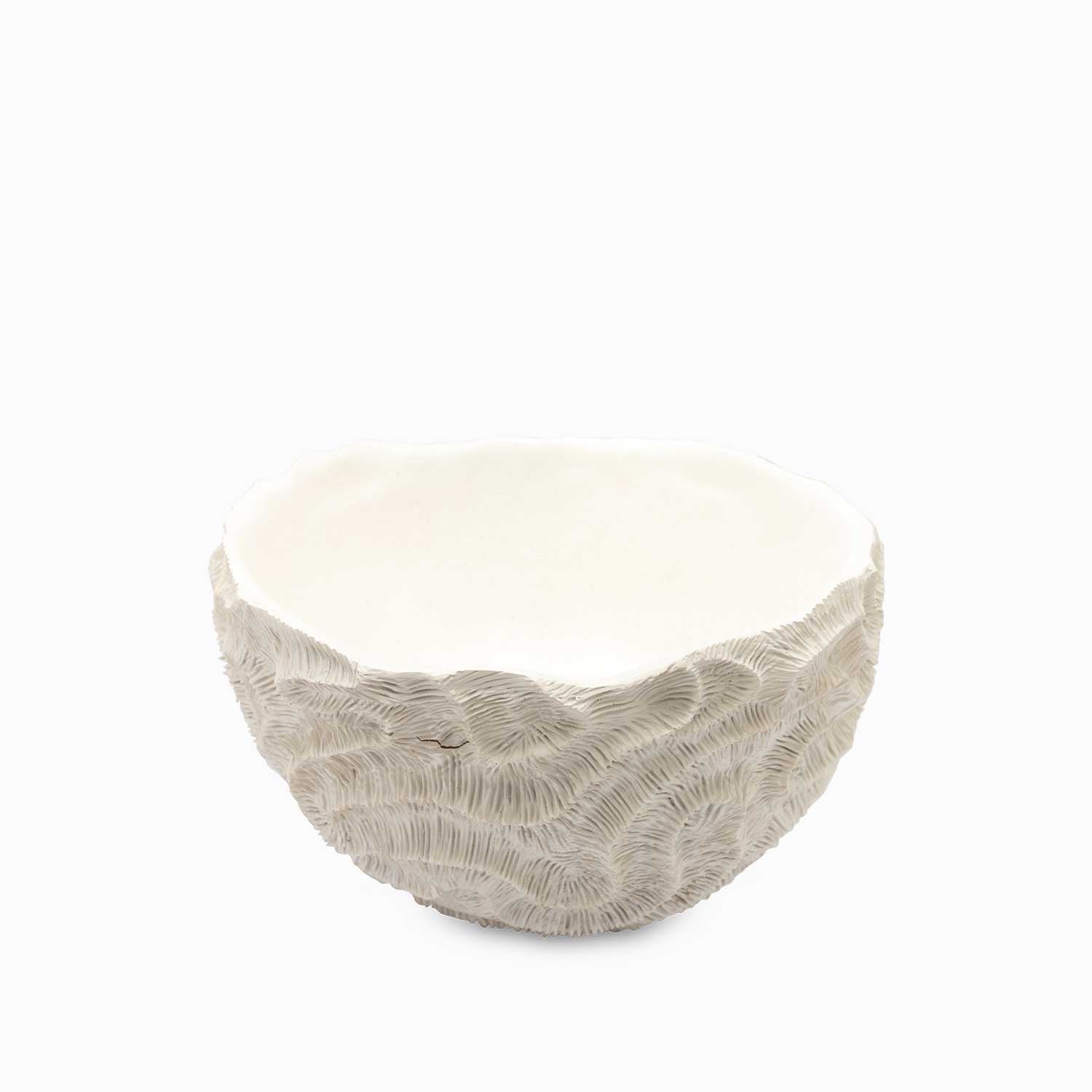 Tazon coral 26x40cm