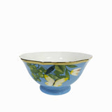 Tazón sopa Frutal 600ml setx4