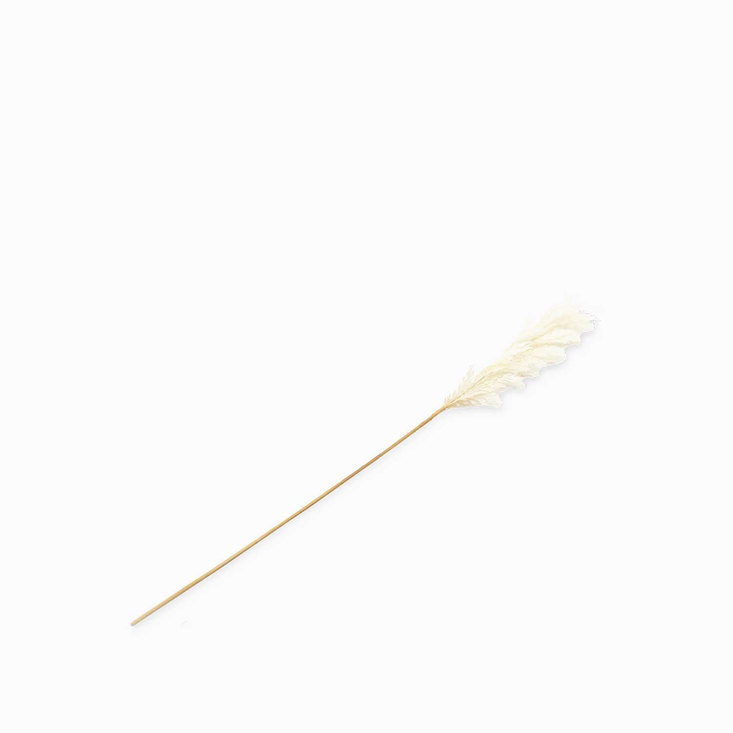 Trigo crema