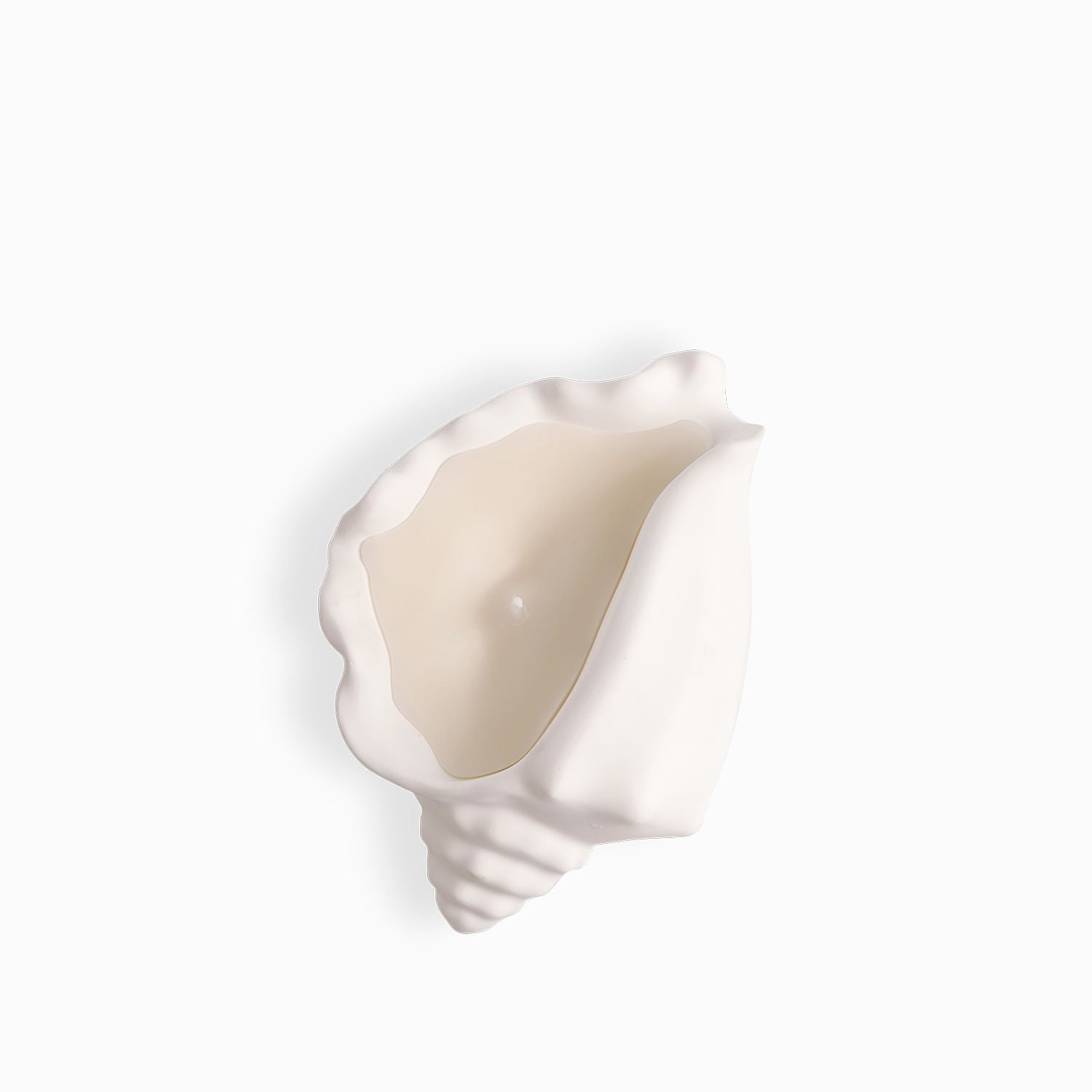 Vela Concha Mar Grande - Ambiente Gourmet México