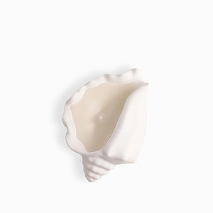 Vela Concha Mar Grande - Ambiente Gourmet México