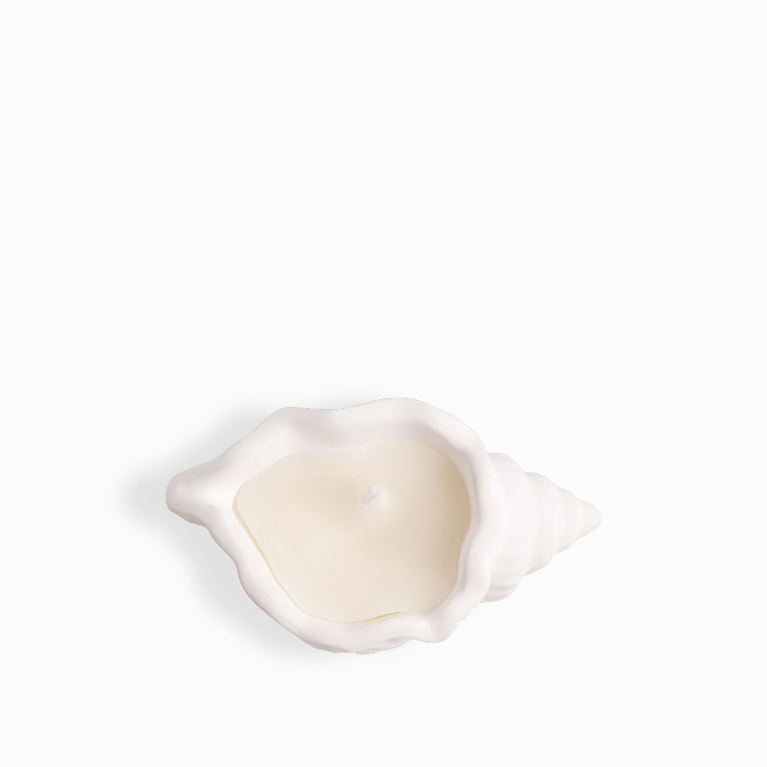 Vela Concha Mar Pequena - Ambiente Gourmet México