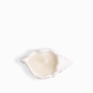 Vela Concha Mar Pequena - Ambiente Gourmet México