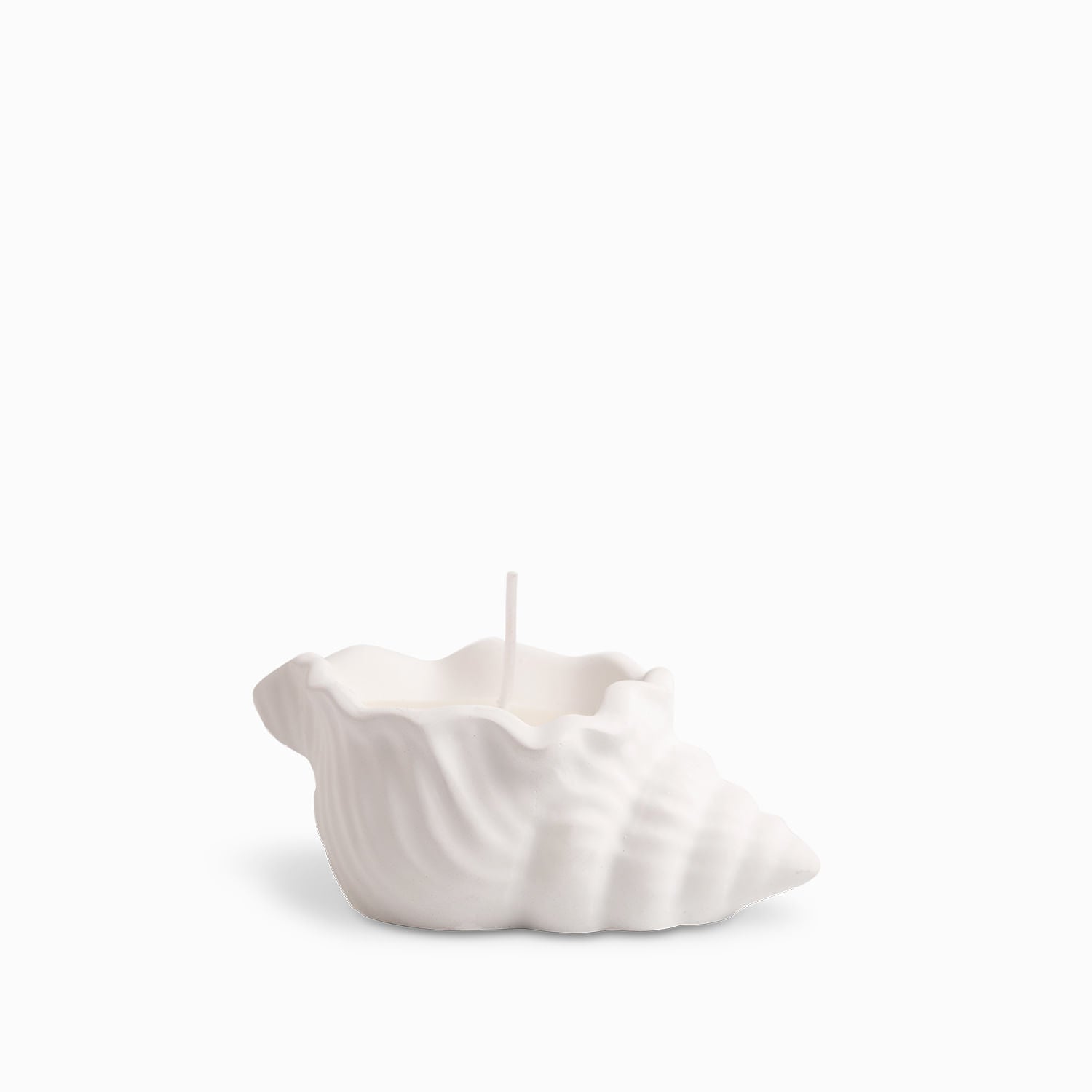 Vela Concha Mar Pequena - Ambiente Gourmet México