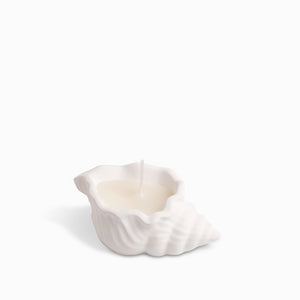 Vela Concha Mar Pequena - Ambiente Gourmet México