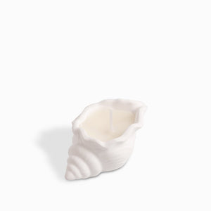 Vela Concha Mar Pequena - Ambiente Gourmet México
